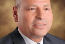 محافظ القاهرة يخصص قطعة أرض لايواء الكلاب الضالة (شلتر)