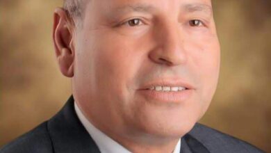 محافظ القاهرة يخصص قطعة أرض لايواء الكلاب الضالة (شلتر) 5 محافظ القاهرة يخصص قطعة أرض لايواء الكلاب الضالة (شلتر)