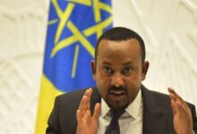 آبى أحمد: سنقضى على أعداء إثيوبيا واحدًا تلو الآخر كـ القمل