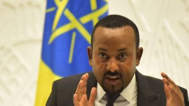 آبى أحمد: سنقضى على أعداء إثيوبيا واحدًا تلو الآخر كـ القمل