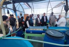 التعليم العالي : معهد علوم البحار والمصايد يستقبل وفدًا دوليًا لتعزيز التعاون 