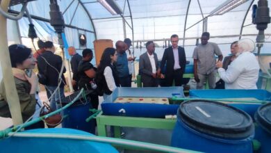 التعليم العالي : معهد علوم البحار والمصايد يستقبل وفدًا دوليًا لتعزيز التعاون 