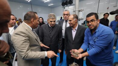 الفريق أسامة ربيع واللواء محب حبشي يتفقدان أعمال ترميم وتدعيم مبنى القبة 3 الفريق أسامة ربيع واللواء محب حبشي يتفقدان أعمال ترميم وتدعيم مبنى القبة