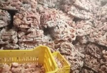 ضبط 45 طن دواجن ولحوم فاسدة ومذبوحة خارج المجازر ومصنعاتهم بالجيزة خلال شهر