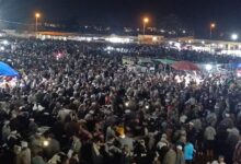 انضباط حركة البيع والشراء بسوق المواشي بدمنهور بالبحيرة