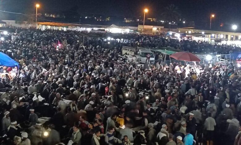 انضباط حركة البيع والشراء بسوق المواشي بدمنهور بالبحيرة