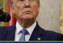 الرئيس الأمريكي يعطي الضوء الأخضر لتصدير رقائق ذكاء اصطناعي متطورة إلى الصين 