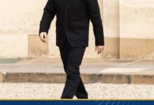 بعد غد .. زيلينسكي يلتقي ويتكوف وكوشنر في برلين لبحث خطة السلام الأمريكية