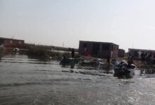 فضيحة رشوة تهز جهاز الثروة السمكية 6 ملايين جنيه تطيح بكبار المسؤولين