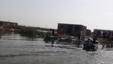 فضيحة رشوة تهز جهاز الثروة السمكية 6 ملايين جنيه تطيح بكبار المسؤولين 1 فضيحة رشوة تهز جهاز الثروة السمكية 6 ملايين جنيه تطيح بكبار المسؤولين