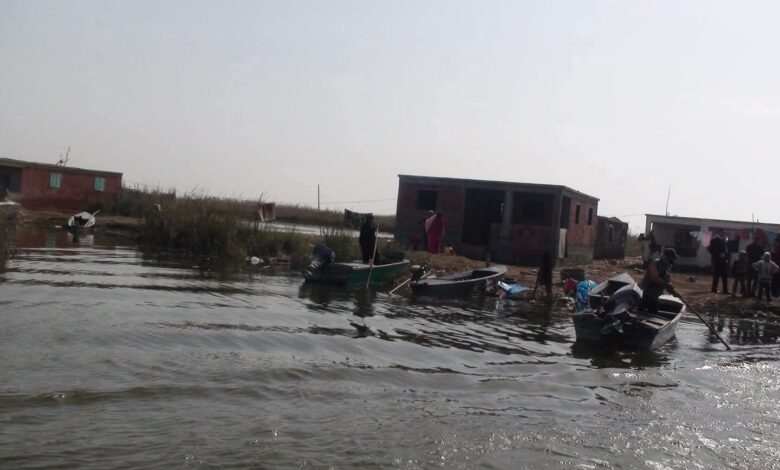 فضيحة رشوة تهز جهاز الثروة السمكية 6 ملايين جنيه تطيح بكبار المسؤولين