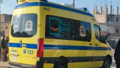 مصرع عامل سقط من أعلى مئذنة مسجد أثناء عمله في المراشدة بالوقف شمال قنا 3 مصرع عامل سقط من أعلى مئذنة مسجد أثناء عمله في المراشدة بالوقف شمال قنا