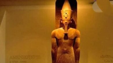 اليوبيل الذهبى لمتحف الأقصر.. نصف قرن من حماية هوية طيبة وإحياء روح الحضارة المصرية 2 اليوبيل الذهبى لمتحف الأقصر.. نصف قرن من حماية هوية طيبة وإحياء روح الحضارة المصرية