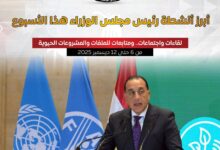 المركز الإعلامي لمجلس الوزراء يستعرض بالإنفوجراف أبرز أنشطة رئيس مجلس الوزراء هذا الأسبوع