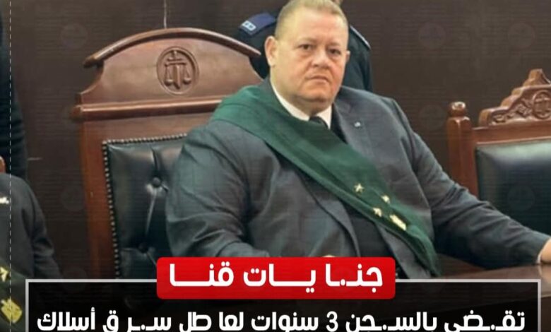 جنايات قنا تقضي بالسجن 3 سنوات لعاطل سرق أسلاك إنارة المقابر بنقادة