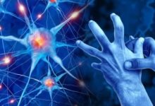 فيتامينات B تُطرح كخيار علاجي غير متوقع لمرض باركنسون