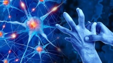 فيتامينات B تُطرح كخيار علاجي غير متوقع لمرض باركنسون 1 فيتامينات B تُطرح كخيار علاجي غير متوقع لمرض باركنسون