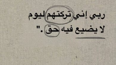 يوسف والحقيقة 2 يوسف والحقيقة