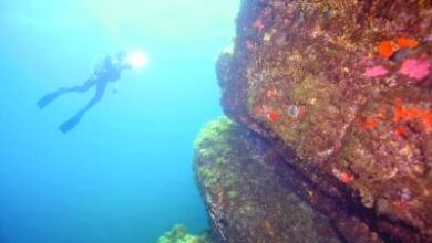 اكتشاف جدار حجري عمره 7 آلاف سنة تحت الماء قبالة فرنسا 2 اكتشاف جدار حجري عمره 7 آلاف سنة تحت الماء قبالة فرنسا