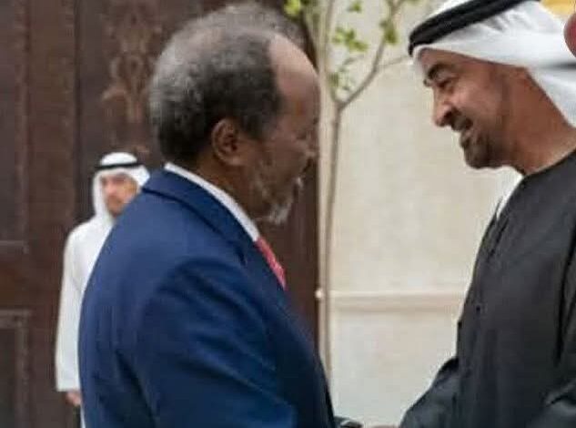 الصومال تنهى كل تعاونها مع الامارات فى الامن والدفاع والموانئ