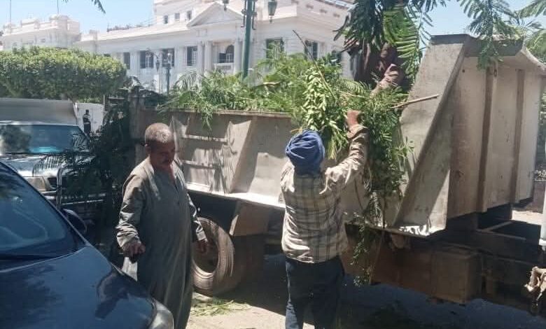 رئيس مجلس مدينة المنيا يتابع تكثيف أعمال القص والتهذيب ورفع المخلفات 