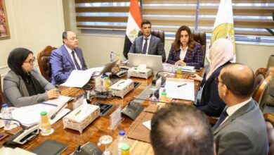وزيرا التنمية المحلية والبيئة والصناعة يبحثان مع رئيس هيئة تنمية الصعيد